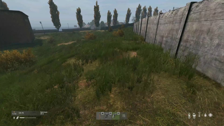 【2021-04-05 13点场】dayz韩爱东西：随便玩玩，直播末日