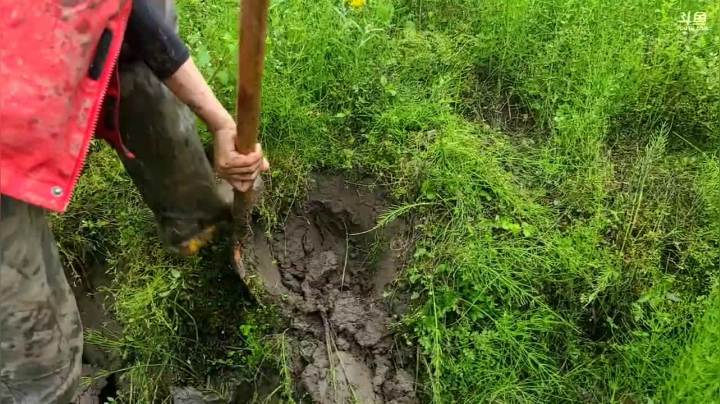 【2021-04-05 16点场】逐梦兄弟：赶回基地12点开播