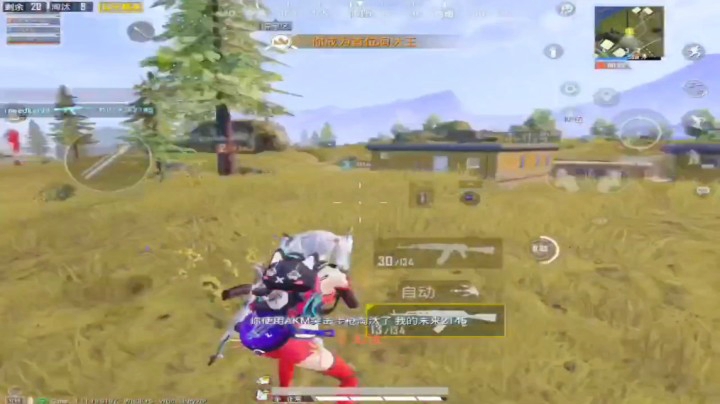 无敌机瞄，山谷10杀吃鸡