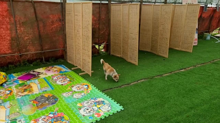 【2021-04-05 14点场】逐梦兄弟：赶回基地12点开播