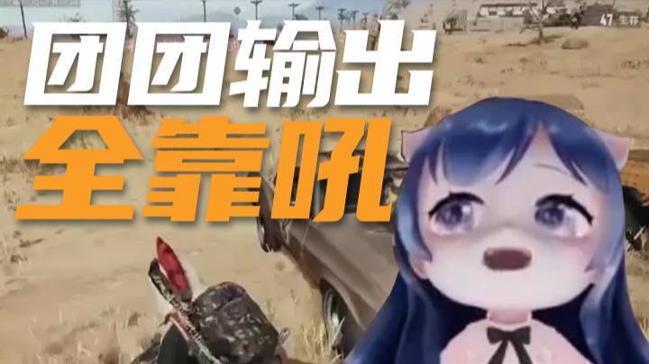 【一条小团团】团团输出全靠吼