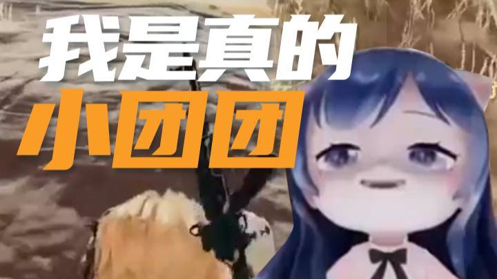 【一条小团团】小团团装自己是有多像，连队友都不信
