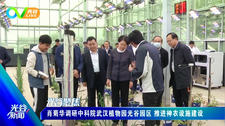 第三十九周光谷新闻周二版0406