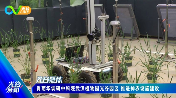 第三十九周光谷新闻周二版0406