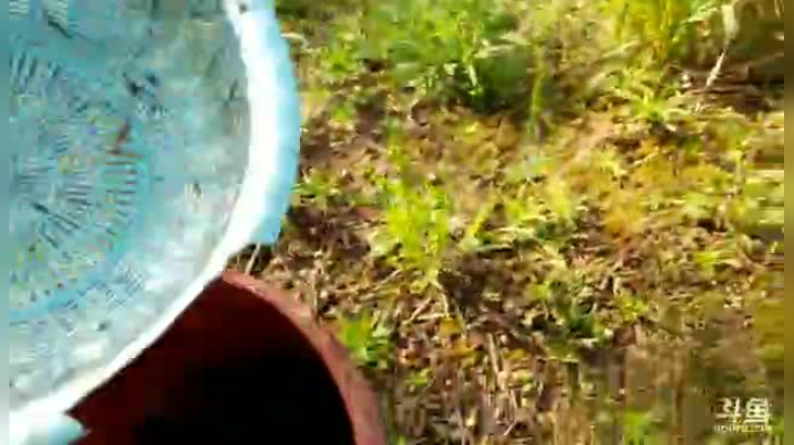 【户外】超哥户外打野的精彩时刻 20210406 08点场