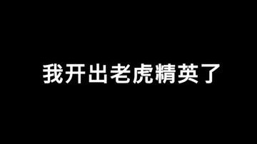 我给大匕头开出了老虎精英！