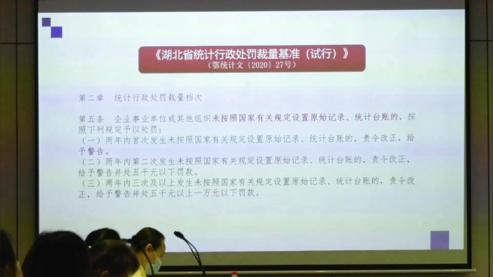 洪山区“企业服务月”系列活动 统计知识培训会