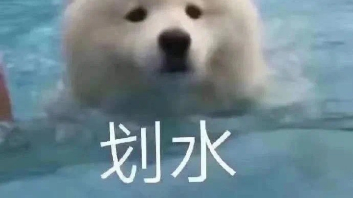 菜狗日记