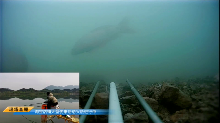 【2021-04-06 08点场】中华户外钓鱼：开播啦，活动火爆开启中