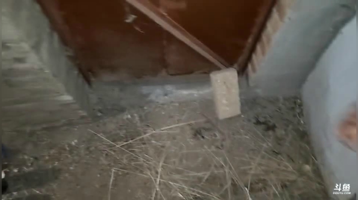 【2021-04-05 21点场】叶子户外：《纪实直播》新疆之旅→青海湖