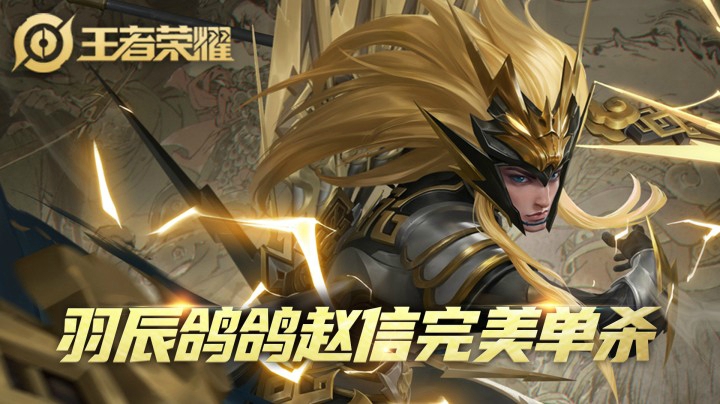 羽辰鸽鸽赵信完美单杀