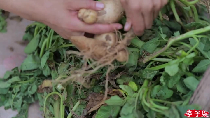 我在斗鱼看李子柒liziqi直播美食