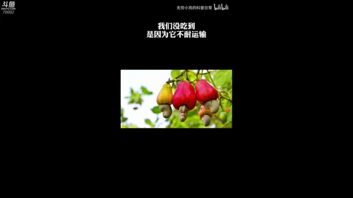 【2021-04-07 20点场】蓝战非OvO：大家好~我是蓝战非