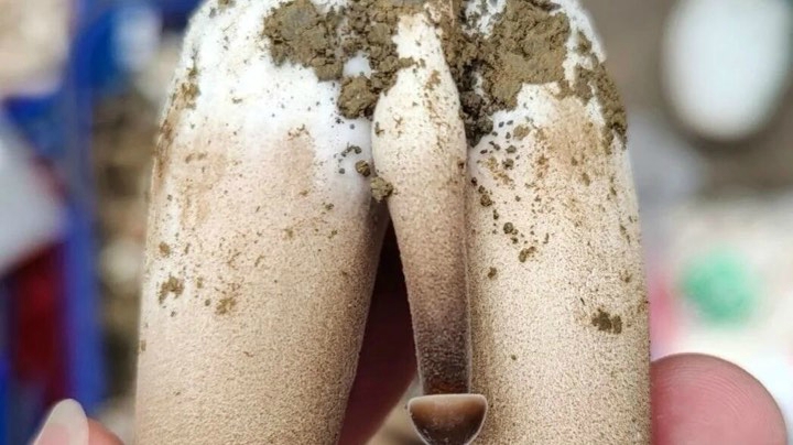 打的铁柱张不开腿