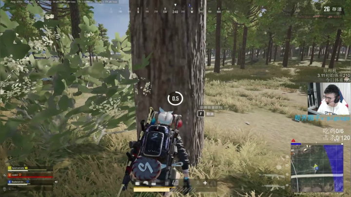 我在斗鱼看pigff直播绝地求生