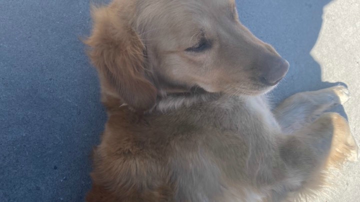 哦想哭咯狙来咯KTV图我哦