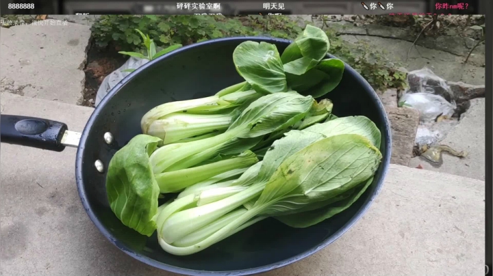 【2021-04-06 23点场】史维佳：刚刚开始了