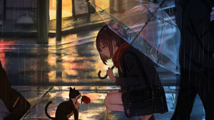 看完你就恋爱了