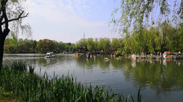 菜菜，变换