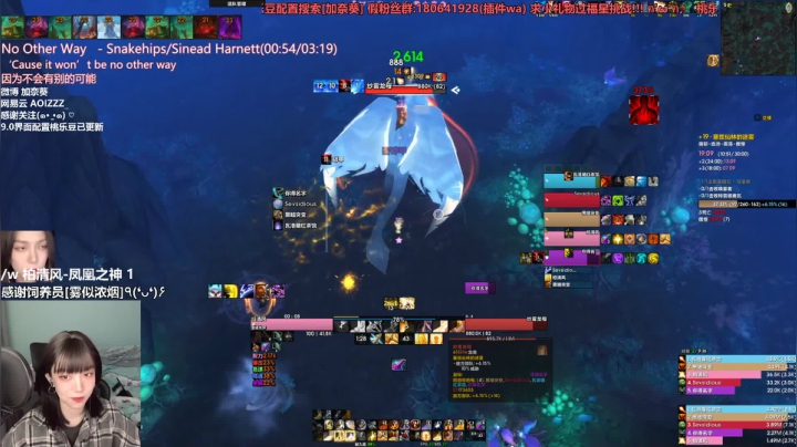 魔兽世界【加奈葵】彩笔奶骑19仙林