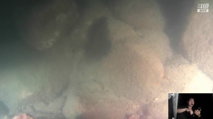 【2021-04-02 22点场】洪湖小肖：洪湖小肖的直播间