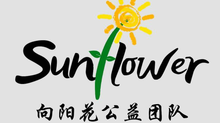 江苏大学向阳花公益团队支教总记