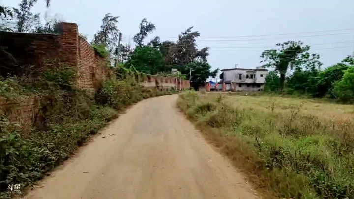 【2021-04-03 11点场】洪湖小肖：征服大海第五天