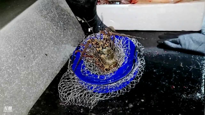 【2021-04-02 22点场】洪湖小肖：洪湖小肖的直播间