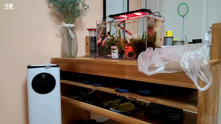 【2021-04-11 15点场】叶子户外：《纪实直播》新疆之旅→茶卡盐湖