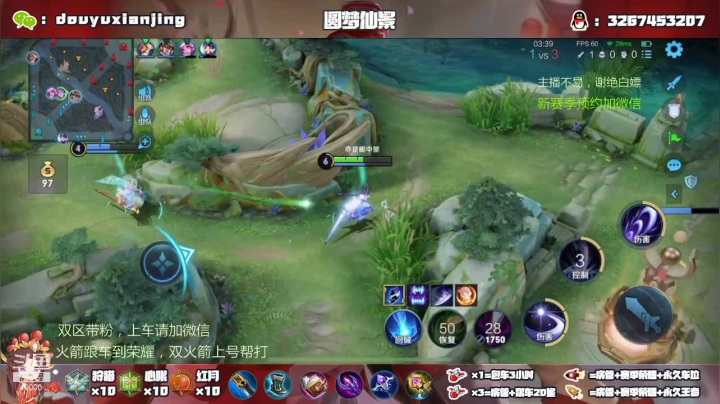 白11