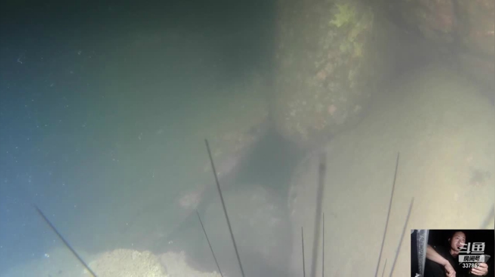 【2021-04-02 20点场】洪湖小肖：洪湖小肖的直播间