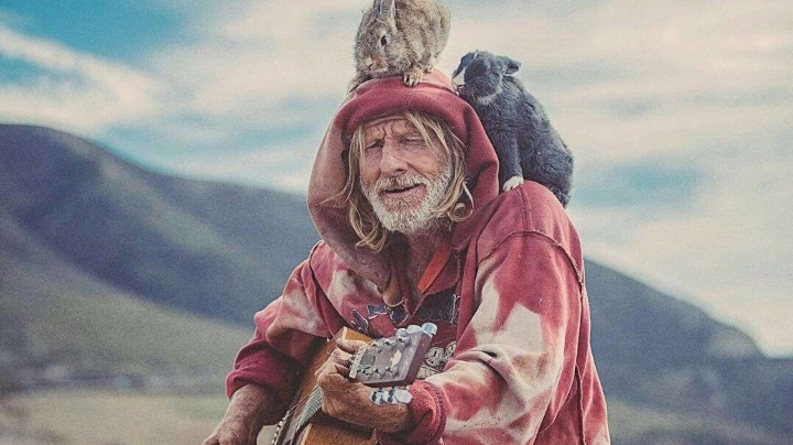 晚安局