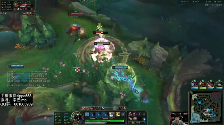 辛巴狮子狗爆杀！真的拦不住！