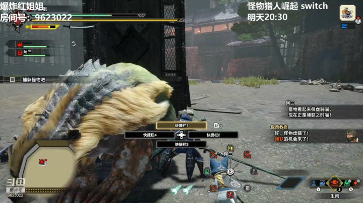 【怪物猎人：崛起】-2