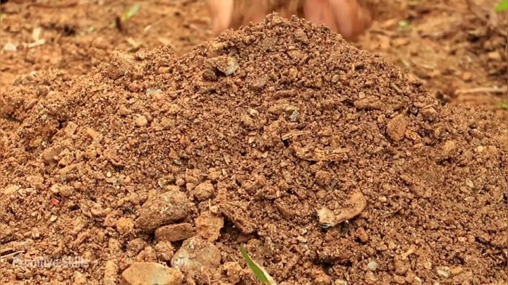 第二季1080P E08棕榈叶棚【真人我的世界-空手发展-单人炼铁】