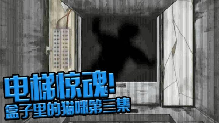 深入房屋不料被猎奇女鬼疯狂追逐 盒子里的猫咪