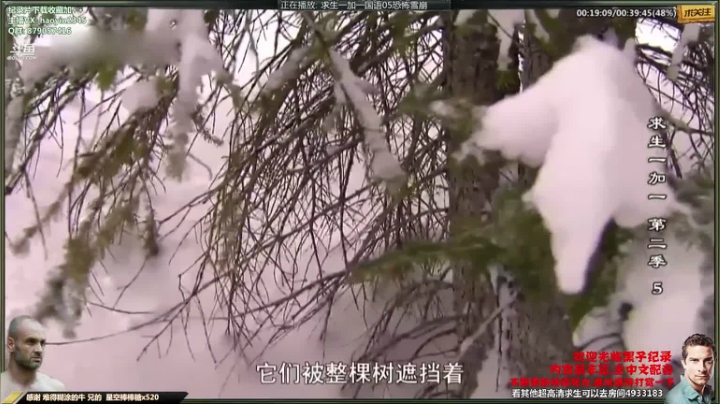 【科普】黑子影视haoyin1234的精彩时刻 20210413 23点场