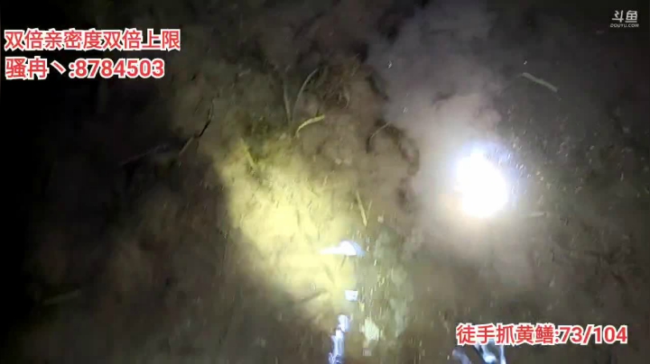 【2021-04-12 23点场】逐梦兄弟：双倍亲密度四倍上限