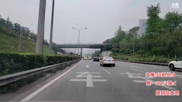 【2021-04-13 13点场】大嘴love：【重庆生存挑战】