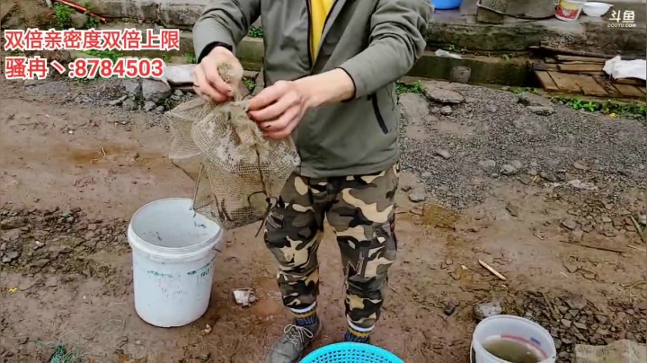 【2021-04-13 10点场】逐梦兄弟：双倍亲密度，8点开播 收波地笼