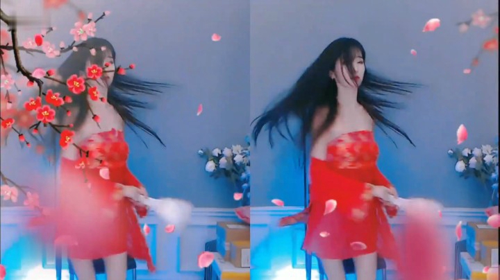 何来人间惊鸿客