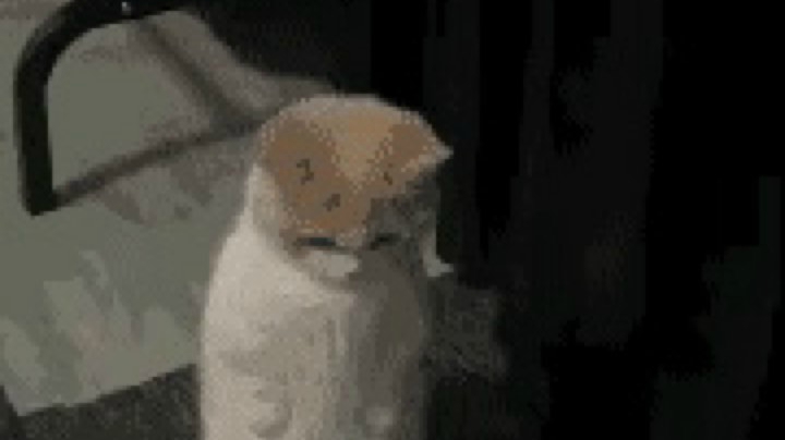 挨揍