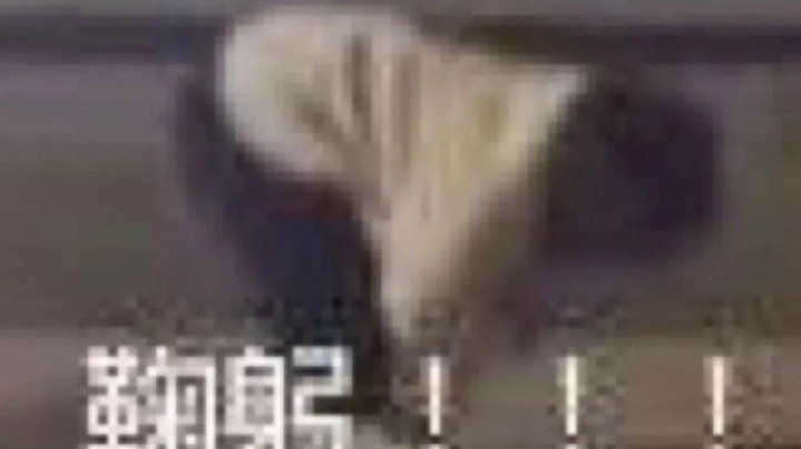 挨揍