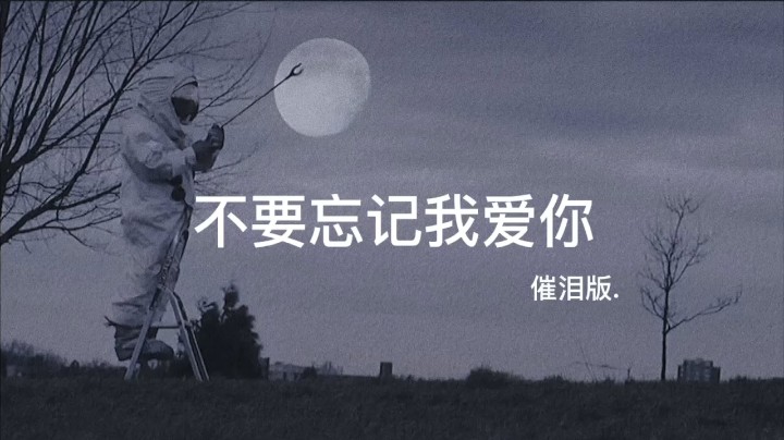 不要忘记我爱你