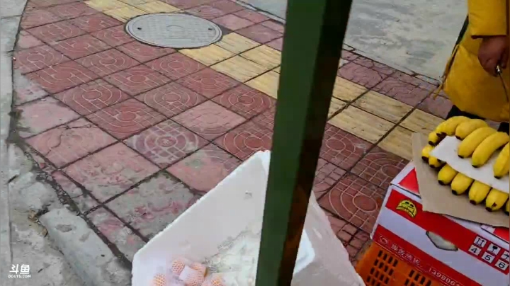 【2021-04-14 10点场】川味箩卜：《深度西藏》墨脱