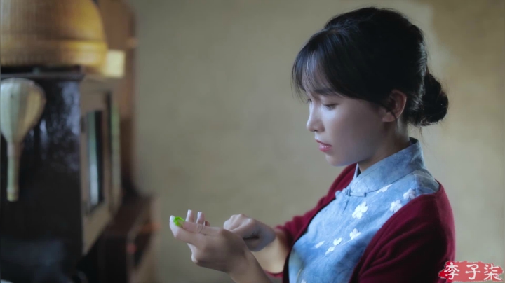 【美食】李子柒liziqi的精彩时刻 20210415 16点场