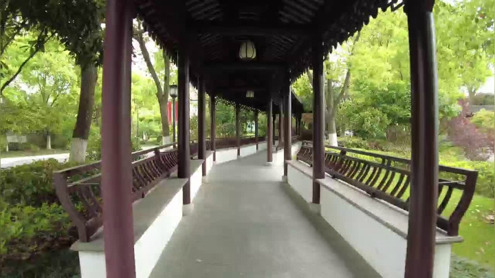 【美食】雪纳瑞三口之家的精彩时刻 20210415 08点场