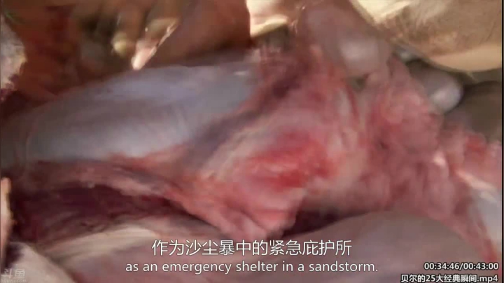 【科普】酷炫你你你的精彩时刻 20210415 13点场