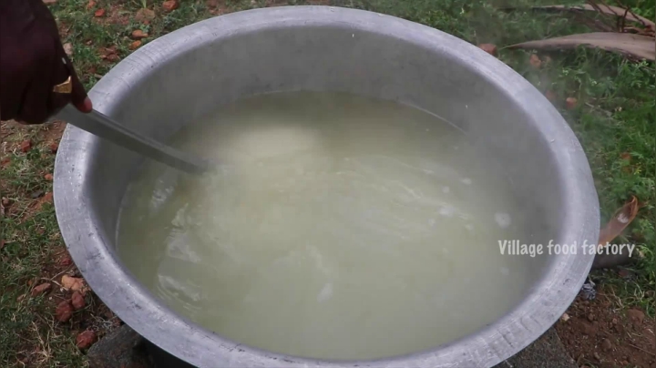 六爷在葡萄园现摘葡萄加现挤牛奶做一锅咖喱带鱼葡萄牛奶捞饭给需要帮助的人们吃