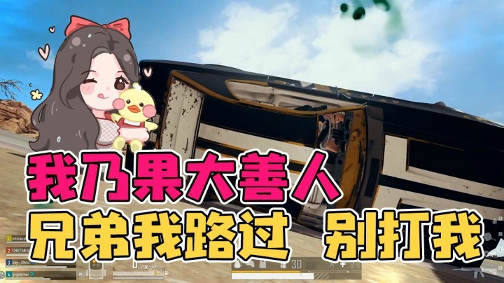 兄弟，我路过的，别打